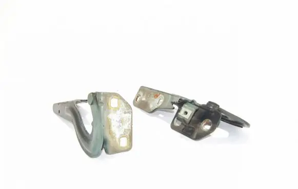 Renault Scenic RX Engine bonnet/hood hinges