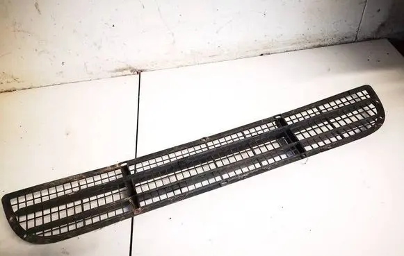 Front bumper lower grill