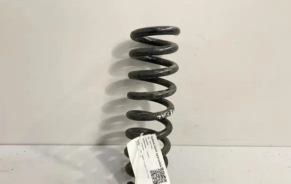 BMW 4 F32 F33 Rear coil spring 1234567