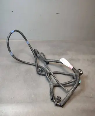 Tesla Model 3 Other wiring loom 189731900B