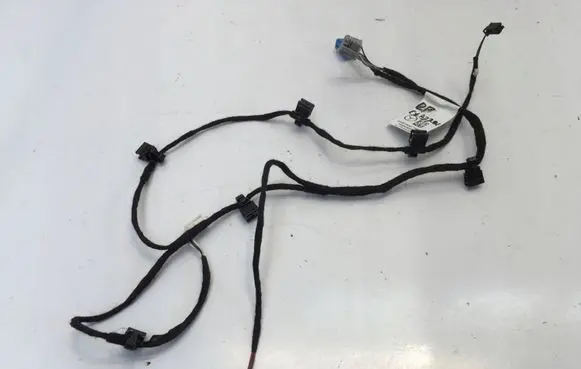 Front door wiring loom