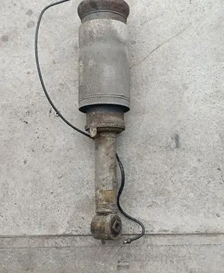 Land Rover Range Rover Sport L320 Air suspension front shock absorber 22257273