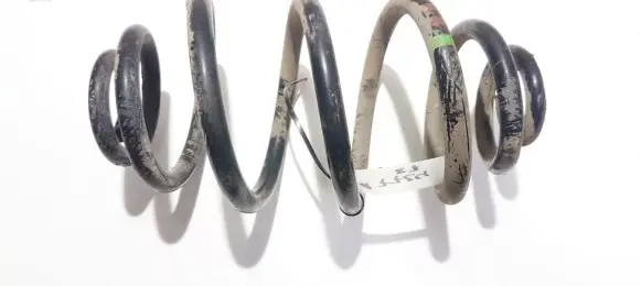 Rear coil spring