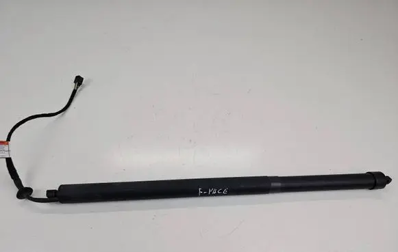 Tailgate/trunk strut/damper