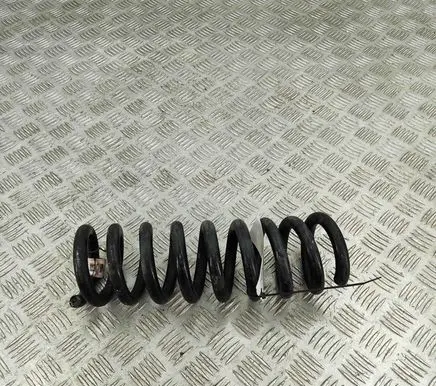 Dodge Charger Rear coil spring 4895583AA