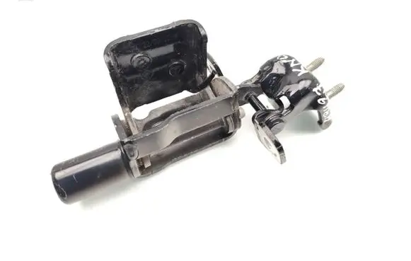 Renault Zoe Rear door hinge set 