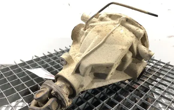 Land Rover Freelander Rear differential 174002