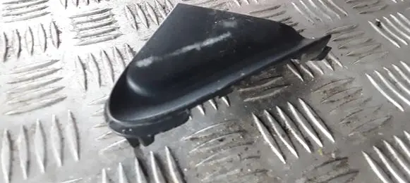Renault Laguna III Fender end trim 638740005R