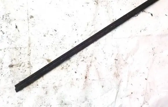 Renault Megane II Front door glass trim molding 