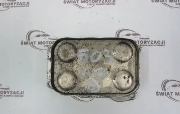 Peugeot 407 Engine oil radiator 6790859280