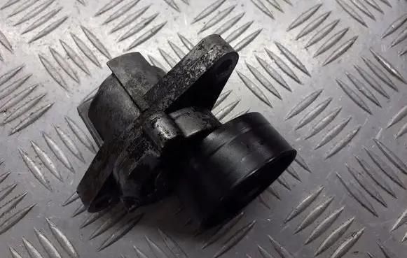 Renault Kangoo I Alternator belt tensioner pulley 