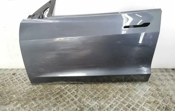 Tesla Model 3 Front door