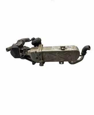 Volkswagen PASSAT B7 EGR valve 987070505