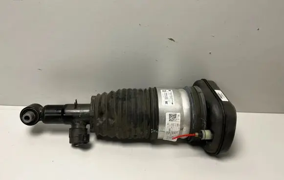 BMW X7 G07 Shock absorber/damper/air suspension 6869039 5B69E33