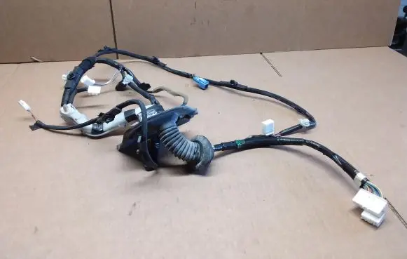 Front door wiring loom
