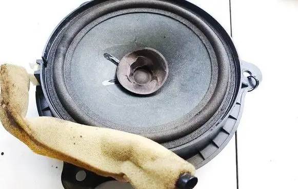 Nissan Juke I F15 Front door speaker