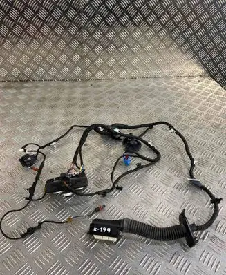 Audi A5 Front door wiring loom 8w8971030 8W0959592H