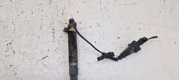 Volkswagen Golf IV Fuel injector 0281302020