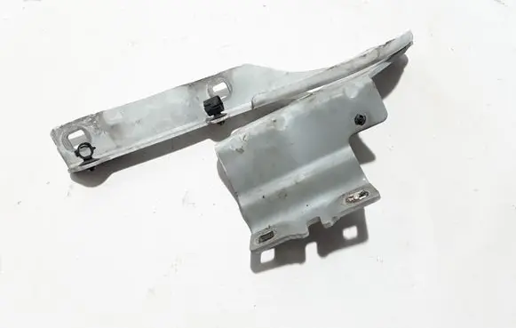 Renault Talisman Engine bonnet/hood hinges 654002504R
