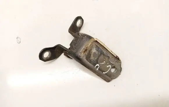 Lexus RX 300 Rear door lower hinge 