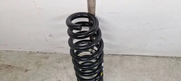 KIA EV6 Rear coil spring 55330G1AD0