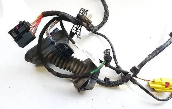 Other wiring loom