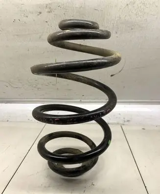 Volkswagen PASSAT B5.5 Rear coil spring