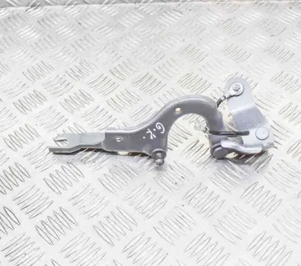 Tailgate/trunk/boot hinge