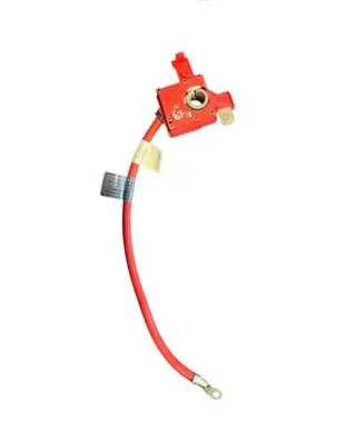 BMW X1 E84 Positive cable (battery) 9217007