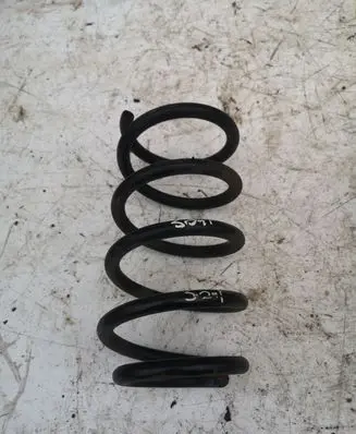 Hyundai Santa Fe Rear coil spring