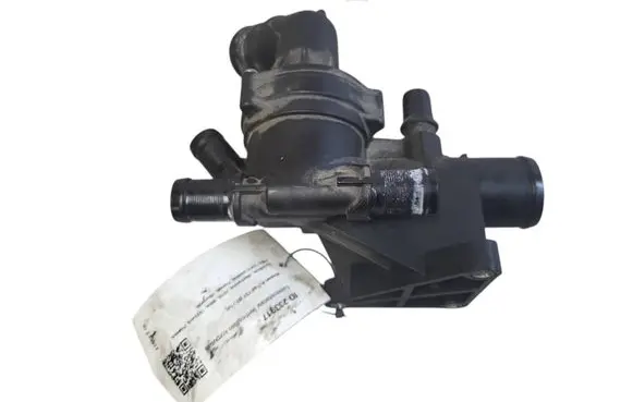 Thermostat/thermostat housing