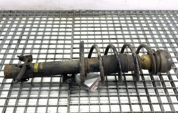 Skoda Rapid (NH) Front shock absorber/damper 