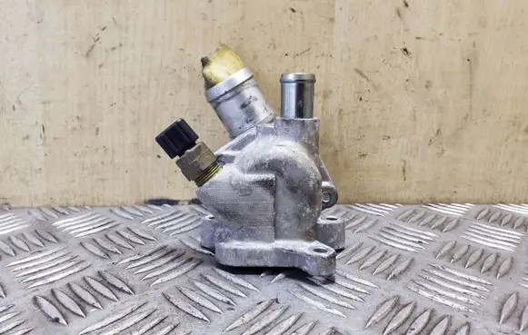 Thermostat/thermostat housing