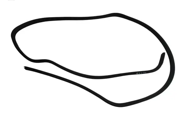 Dodge Grand Caravan Sliding door rubber seal 