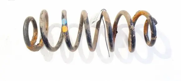 Rear coil spring