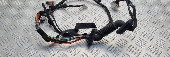 KIA Ceed Tailgate/trunk wiring harness 916901H220 07B07030071119
