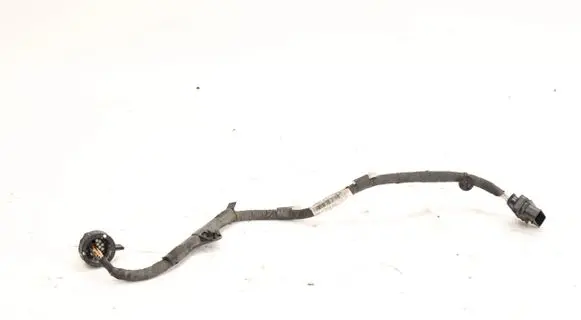 Other wiring loom