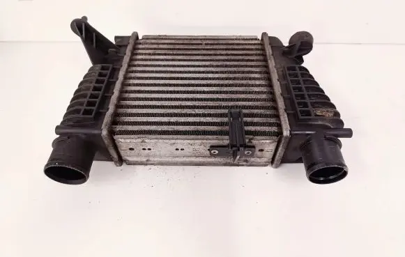 Nissan Juke I F15 Intercooler radiator 144611KB1A