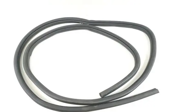 Dodge RAM Rear door rubber seal (on body) Unknown