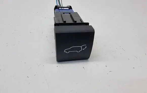 Toyota RAV 4 (XA50) Tailgate opening switch 1D0002N