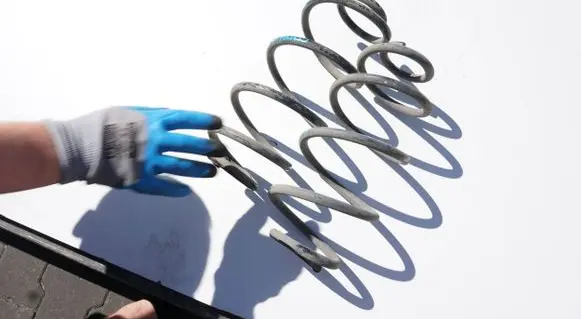 Rear coil spring