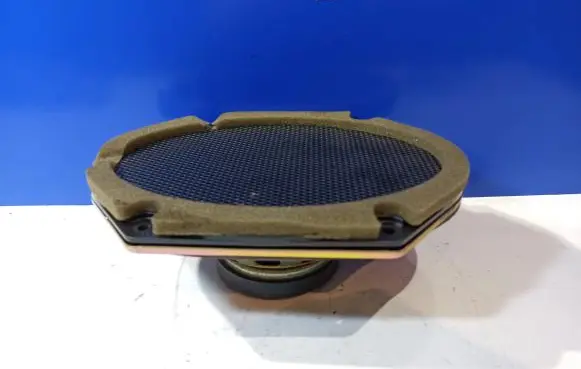 Front door speaker