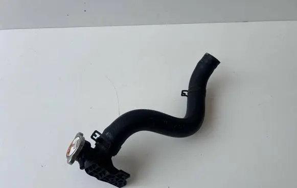 Hyundai i20 (PB PBT) Engine coolant pipe/hose 25411-4P550