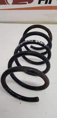 Rear coil spring