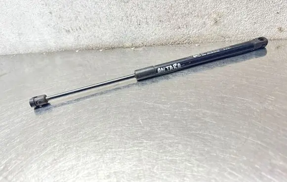 Opel Antara Front bonnet/hood damper/strut 96661404 05532220813