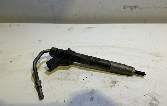 Mercedes-Benz E W211 Fuel injector A6420701987 080710 0445115076