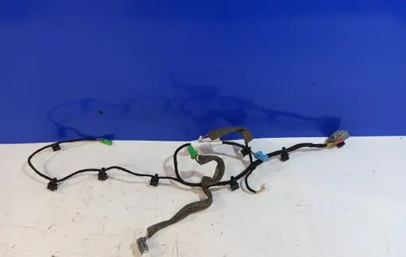 Other wiring loom