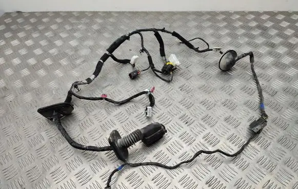 Hyundai Santa Fe Front door wiring loom 916102W610
