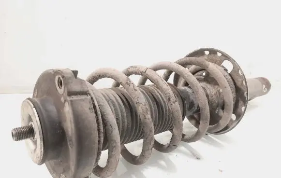 Volkswagen Polo Front shock absorber with coil spring 300032