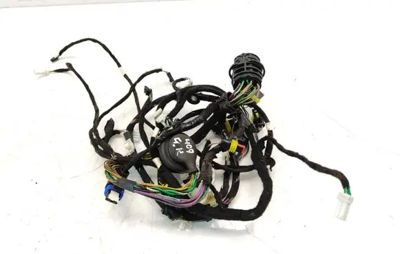 Rear door wiring loom